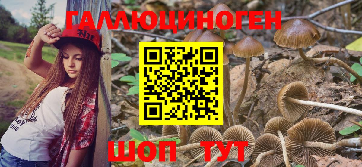 Туймазы  COCAIN  Меф МЯУ МЯУ кристаллы  Вход с VPN  ГАШ  ГАШ  Каннабис  Альфа ПВП СОЛЬ кристаллы 