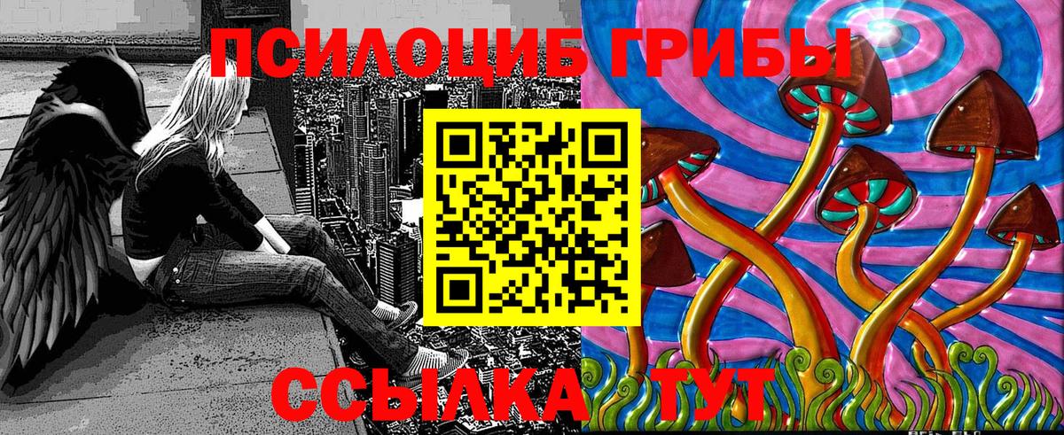 наркошоп  Вход с VPN  Туймазы  Галлюциногенные грибы Psilocybe 